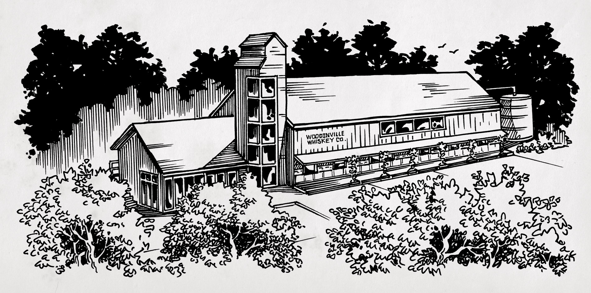 Rough Sketch VS Illustration – David Cole Creative